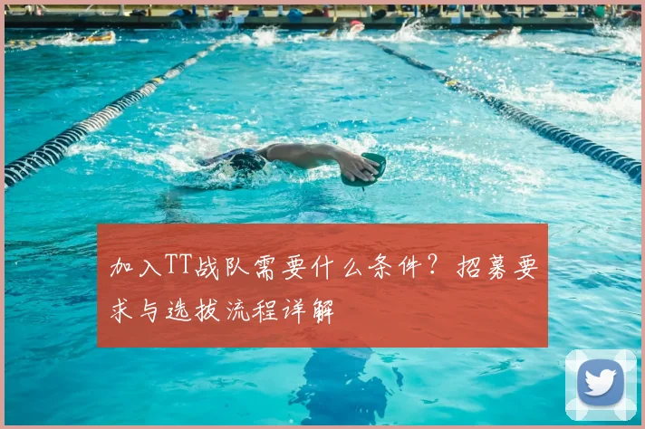 加入TT战队需要什么条件？招募要求与选拔流程详解
