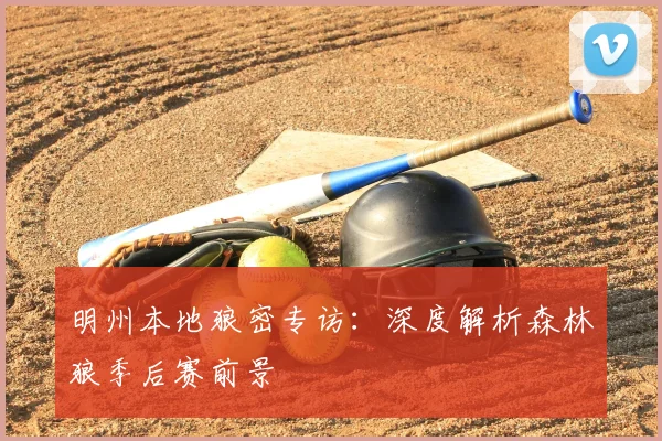 明州本地狼密专访：深度解析森林狼季后赛前景