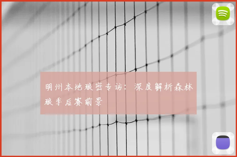 明州本地狼密专访：深度解析森林狼季后赛前景